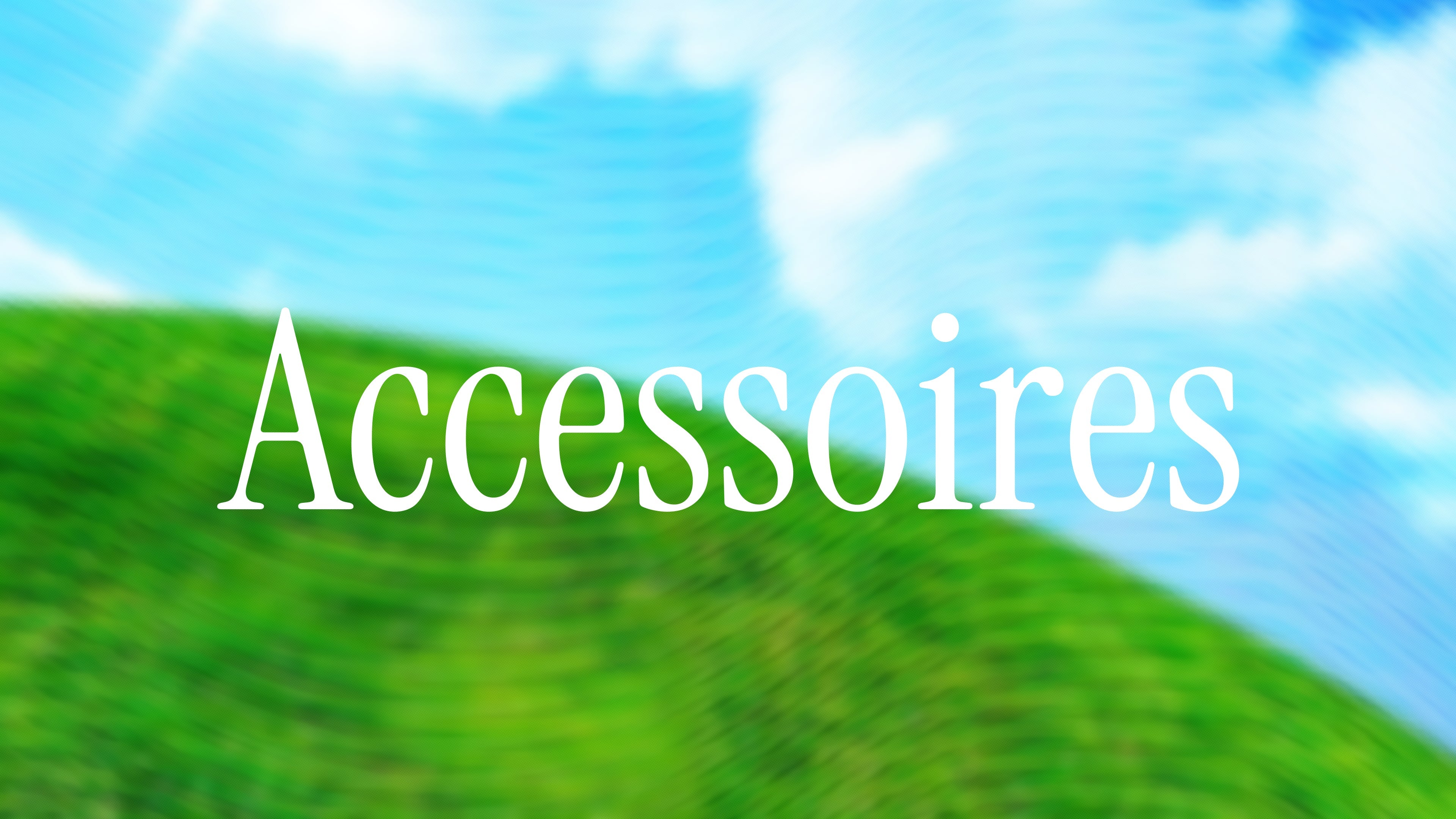 Frutiger Aero Accessories